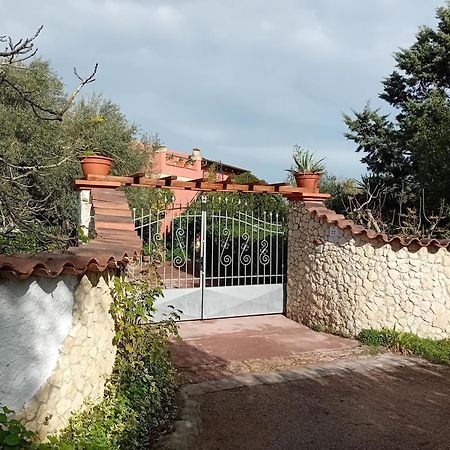 Appartement Il Vecchio Lentisco à Alghero Extérieur photo