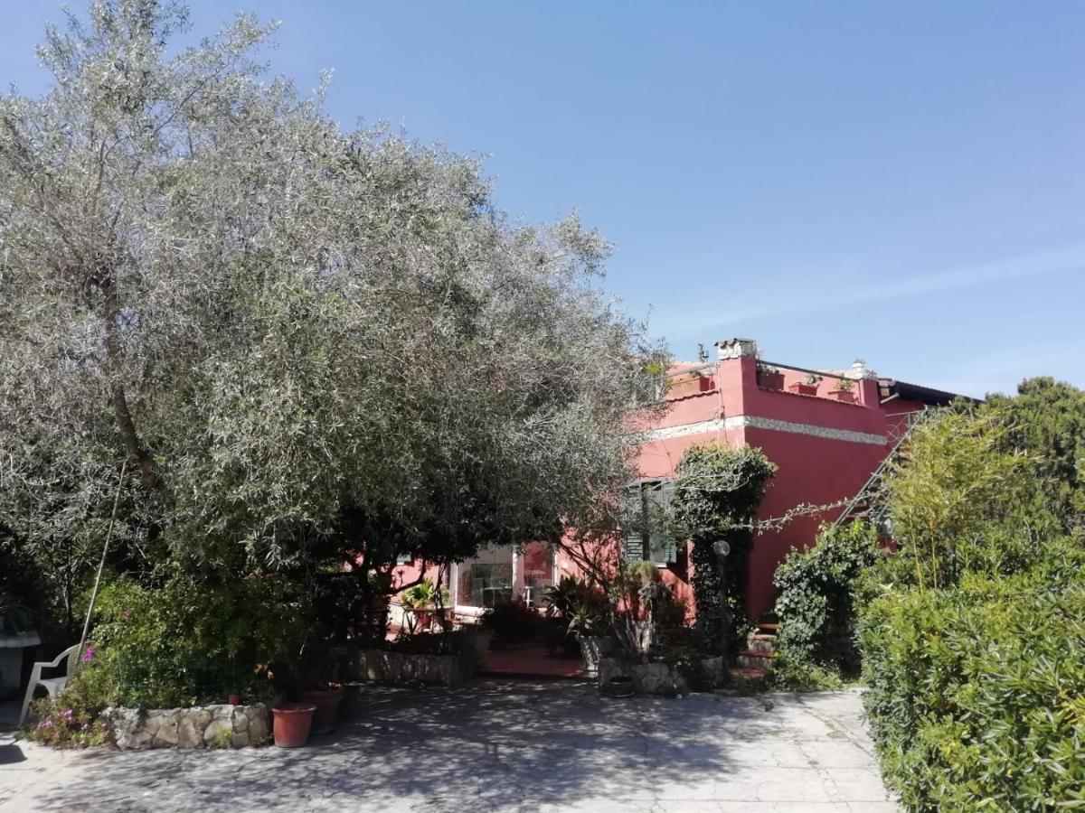 Appartement Il Vecchio Lentisco à Alghero Extérieur photo