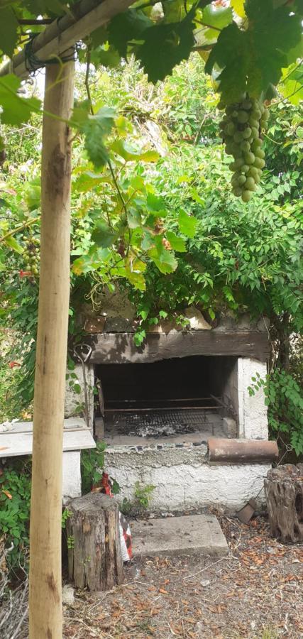 Appartement Il Vecchio Lentisco à Alghero Extérieur photo